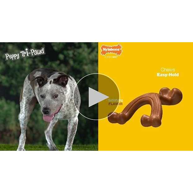 Nylabone Double Action Chew - Pet Supplies online store