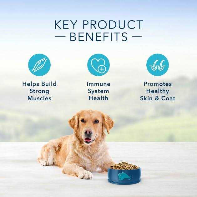 Blue Buffalo Life Protection Formula Healthy Weight Small Breed Adult Chicken & Brown Rice Recipe Dry Dog Food - Pet Supplies online store