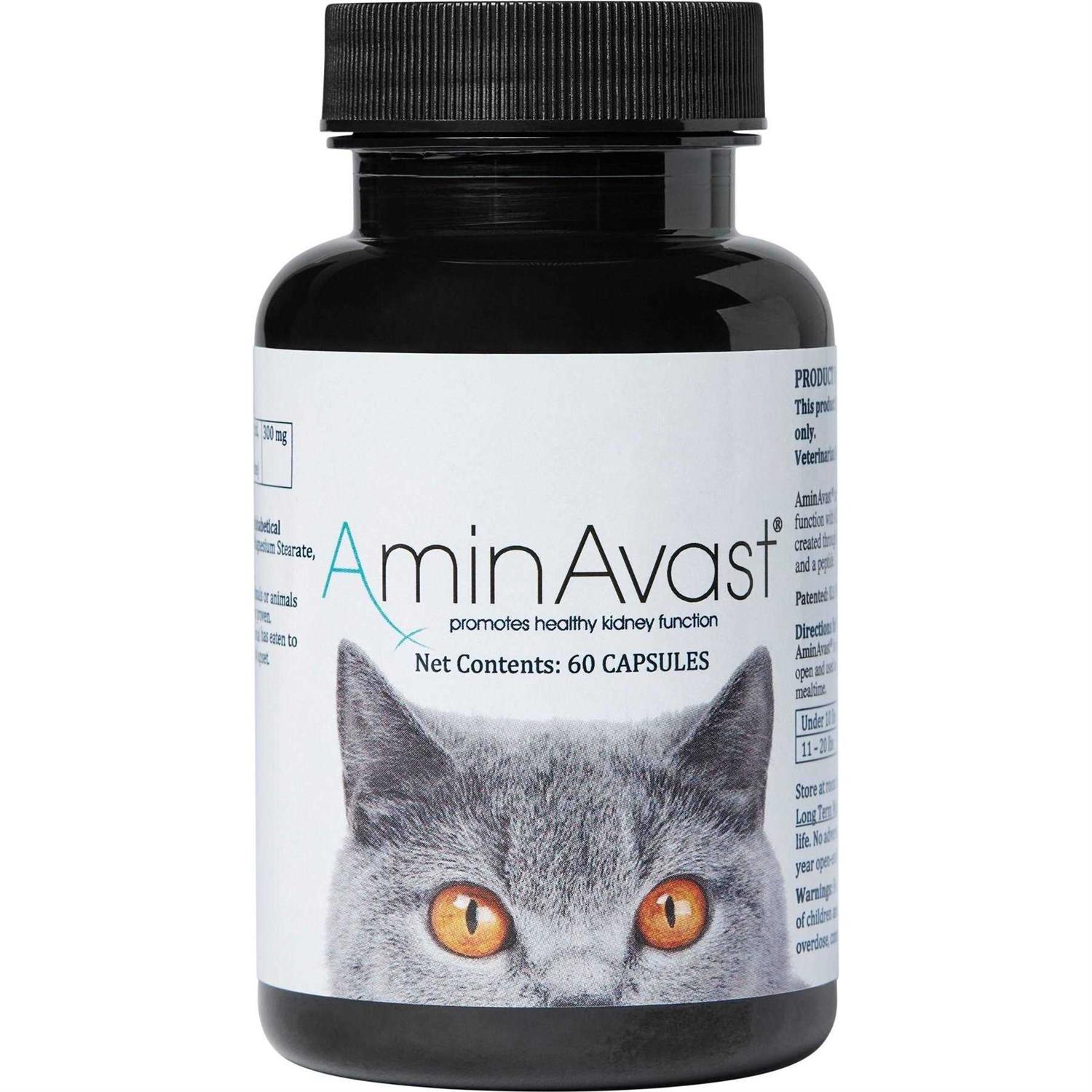 AminAvast Kidney Support for Cats - Pet Supplies online store