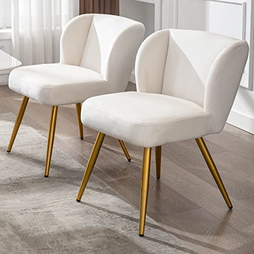 VESCASA Velvet Dining Chairs with Padded Back, Modern Upholstered Accent Chairs with 4 Gold Metal Legs for Dining/Living Room/Bedroom, Set of 4, Cream