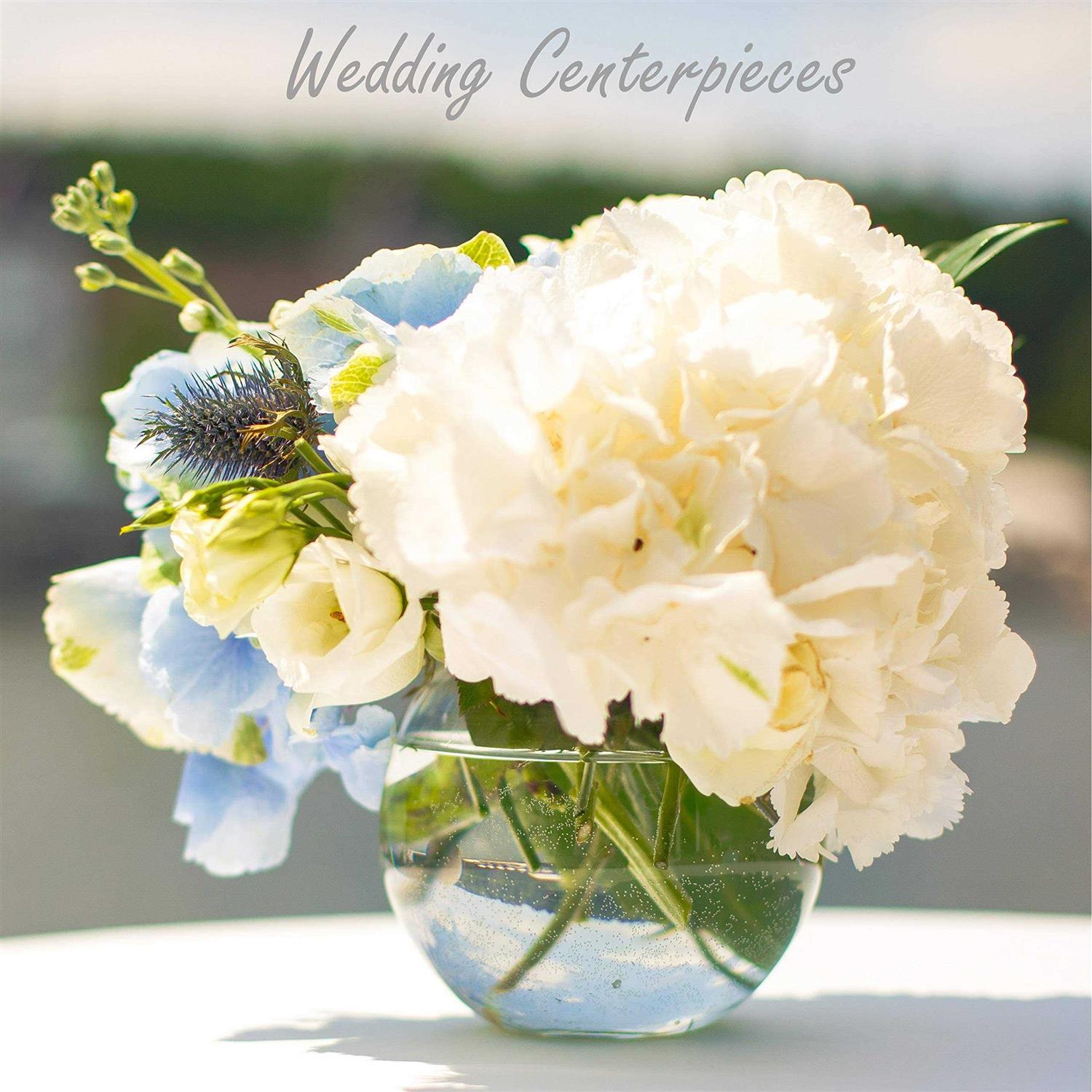 Cys Excel Glass Bubble Bowl - Pet Supplies online store