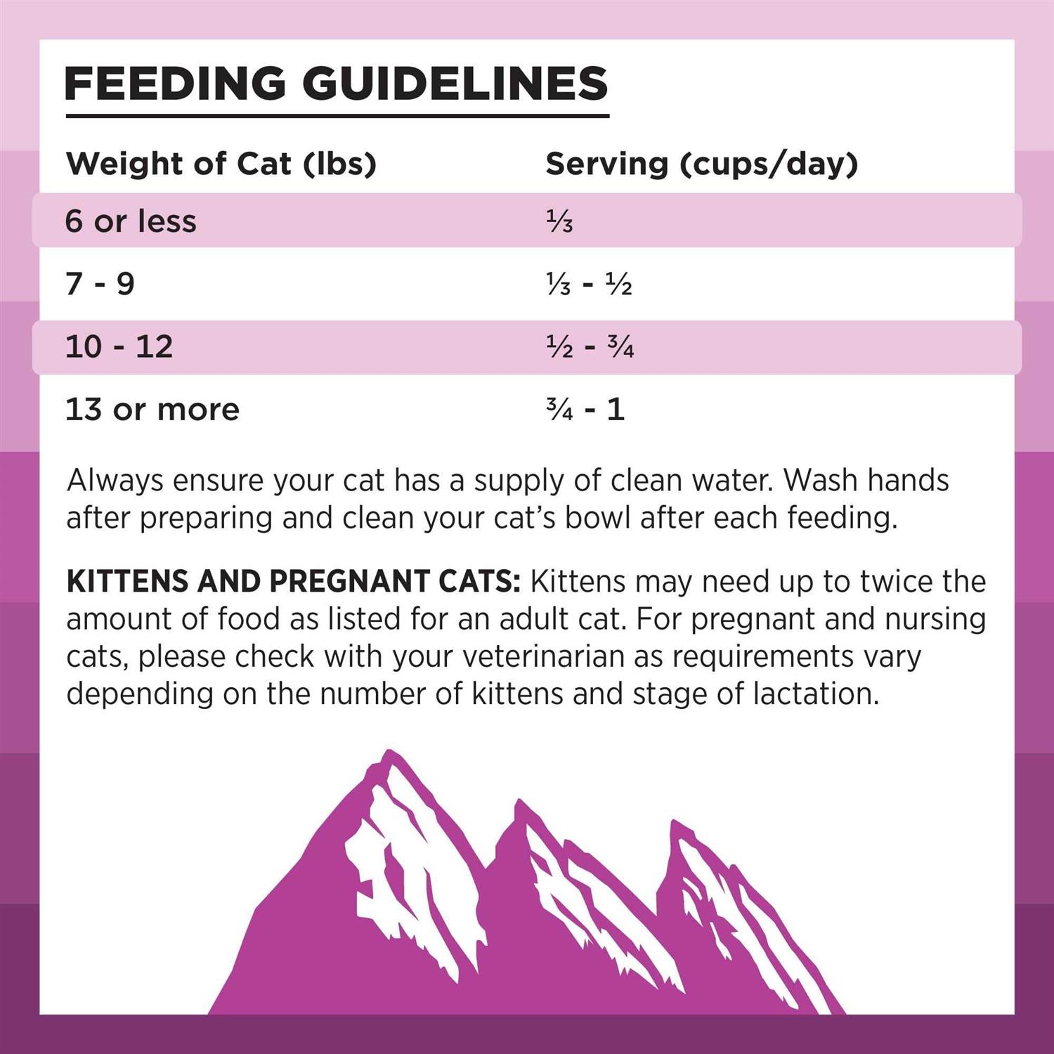 Bixbi Rawbble Chicken Recipe Dry Cat Food - Pet Supplies online store