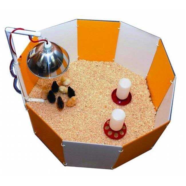 Baby Chick Starter Home Orange & White 3700 - Pet Supplies online store