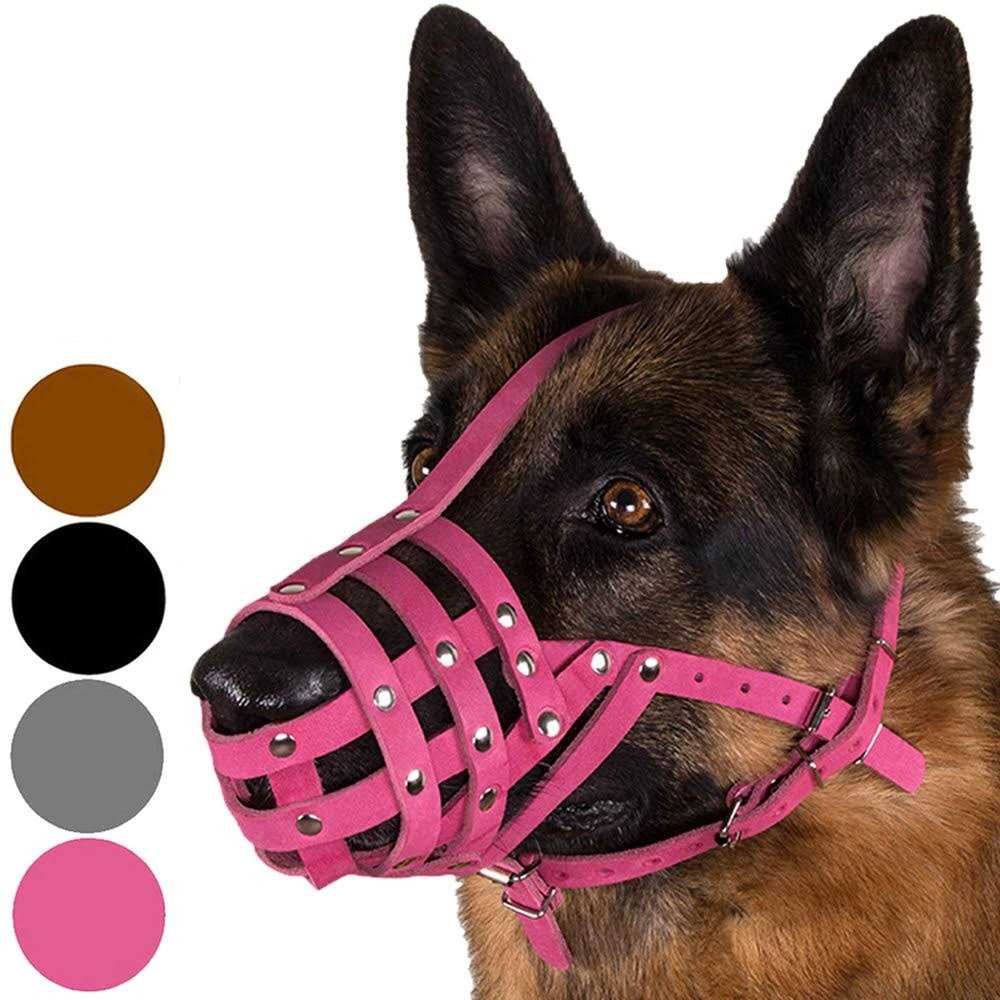 CollarDirect Dog Muzzle German Shepherd Dalmatian Doberman Setter Leather Basket Medium Large Breeds - Pet Supplies online store