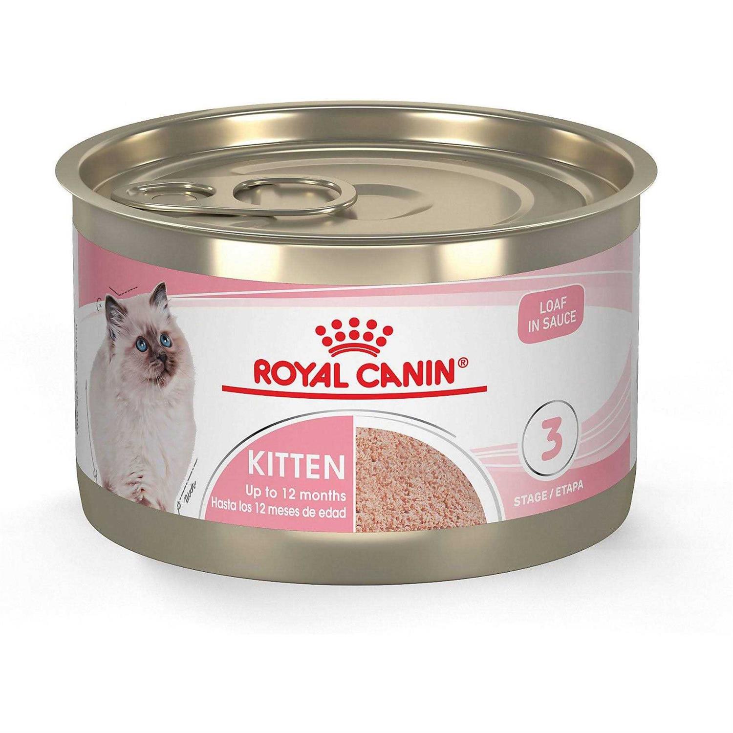 Royal Canin Kitten Loaf in Sauce Cat Food - Pet Supplies online store