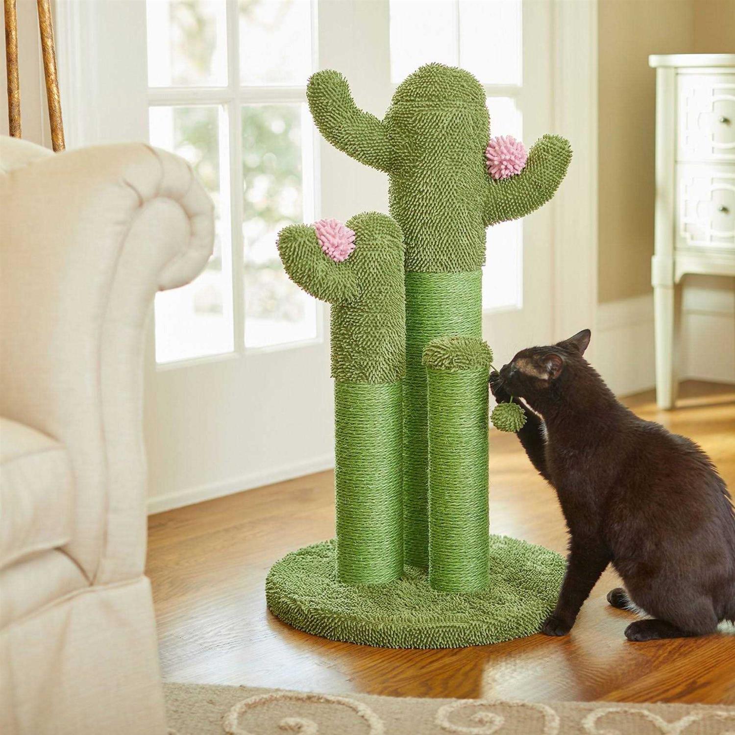 Frisco Cactus Cat Scratching Post - Pet Supplies online store