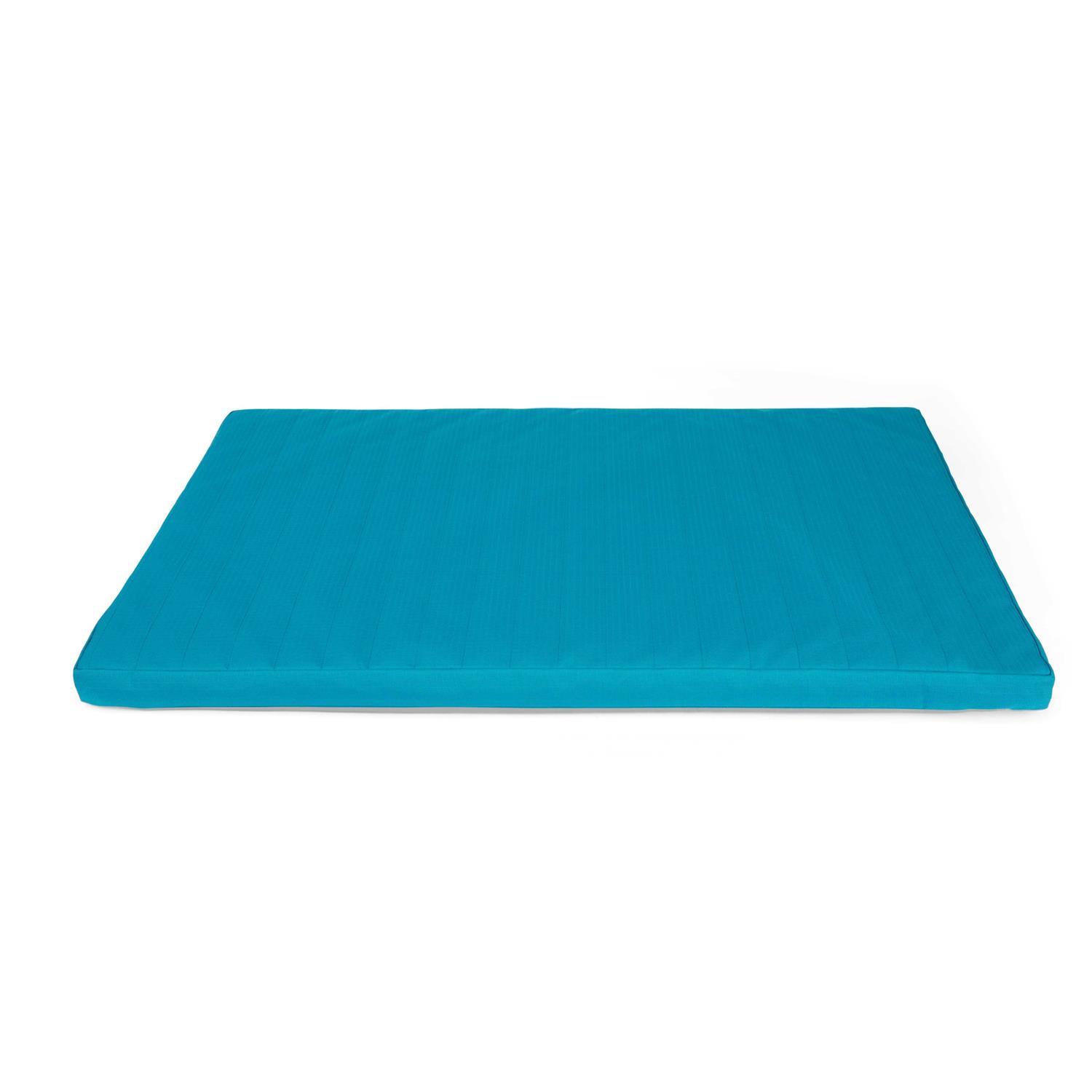 EveryYay Durable 2 Teal Dog Mat - Pet Supplies online store