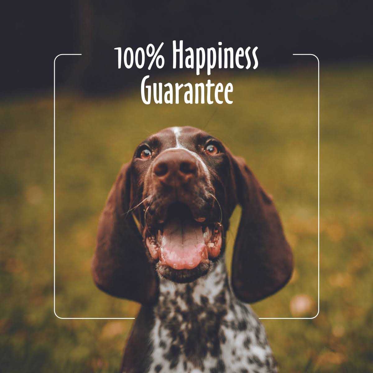 Earthbath Facial Wipes for Dogs & Cats - Pet Supplies online store