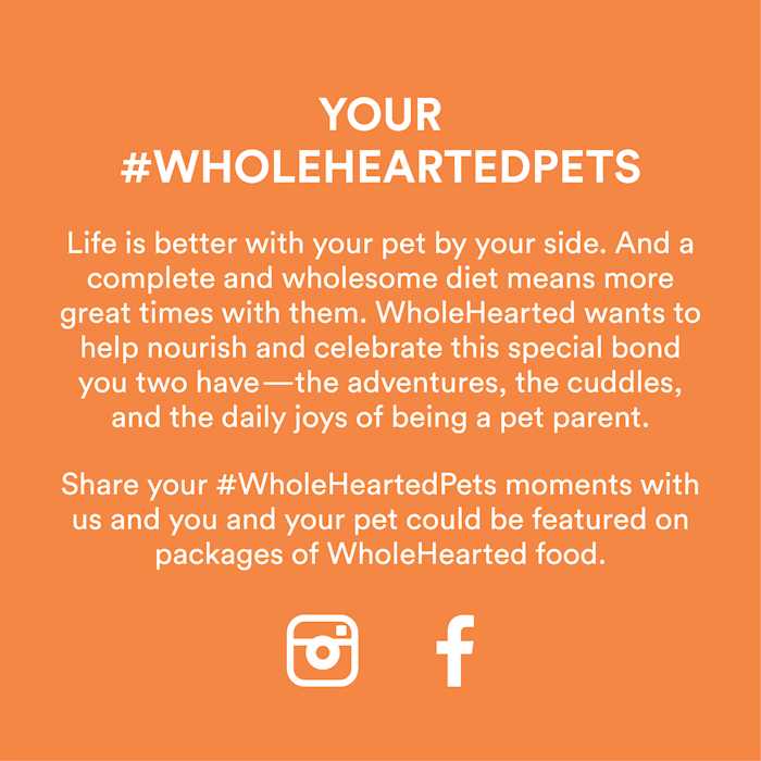 WholeHearted Grain Free Chicken Recipe Dry Kitten Food - Pet Supplies online store