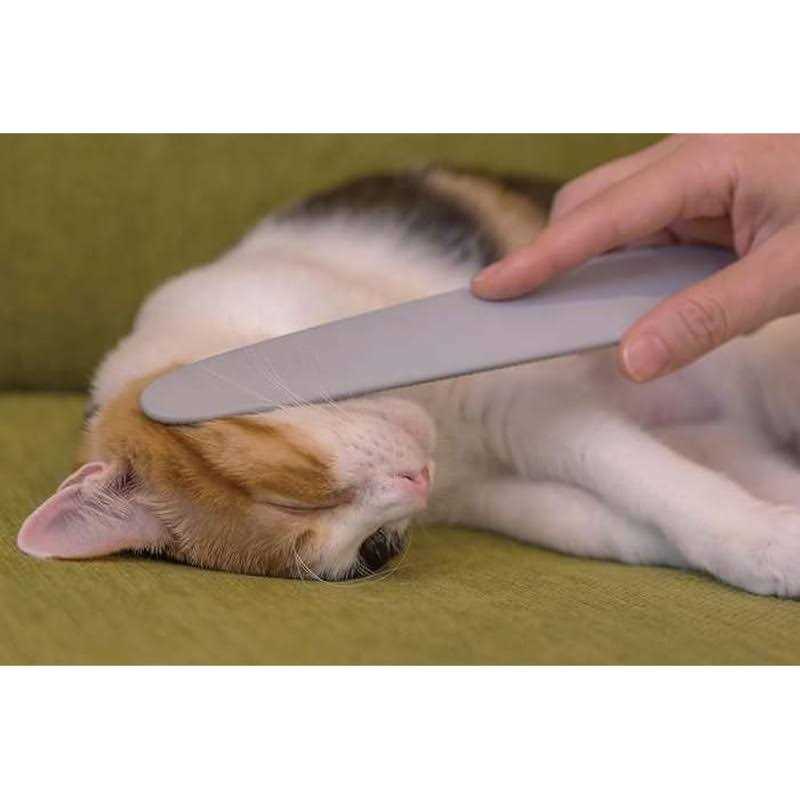 Wataoka The Nekojasuri Cat Groomer - Pet Supplies online store