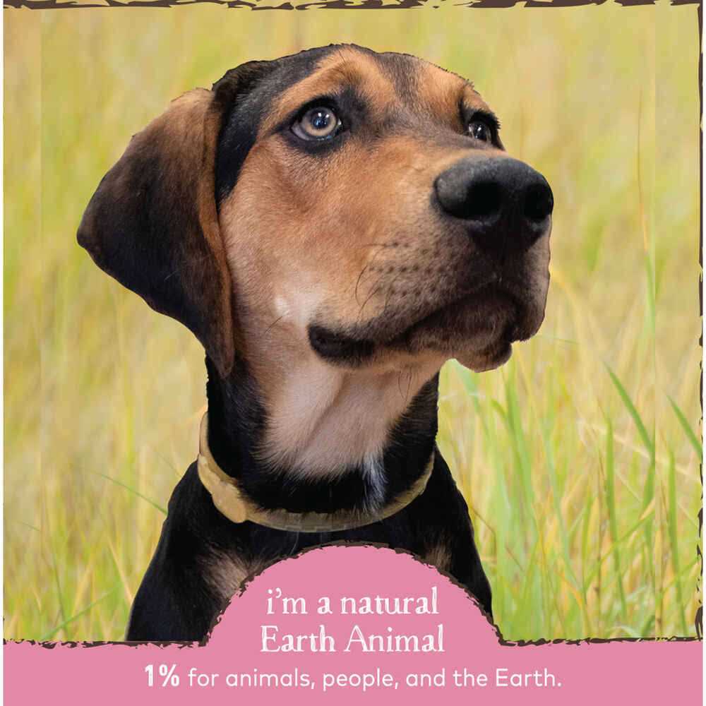 Earth Animal Herbal Flea & Tick Collar for Cats - Pet Supplies online store