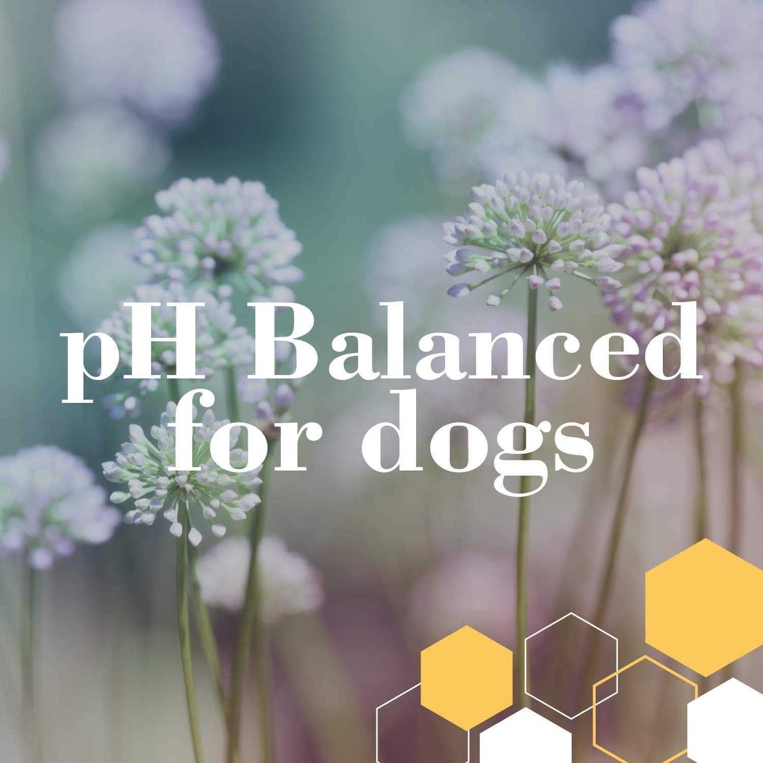 Burt's Bees for Dogs Honeysuckle Itch-Soothing Spray - Pet Supplies online store