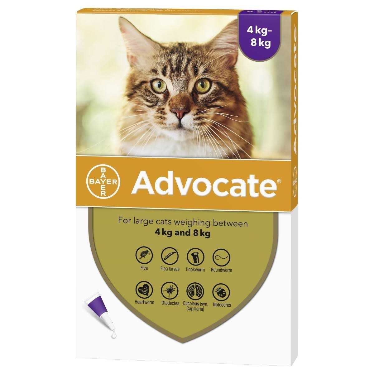Advocate for Large Cat over 4kg - Pet Supplies online store