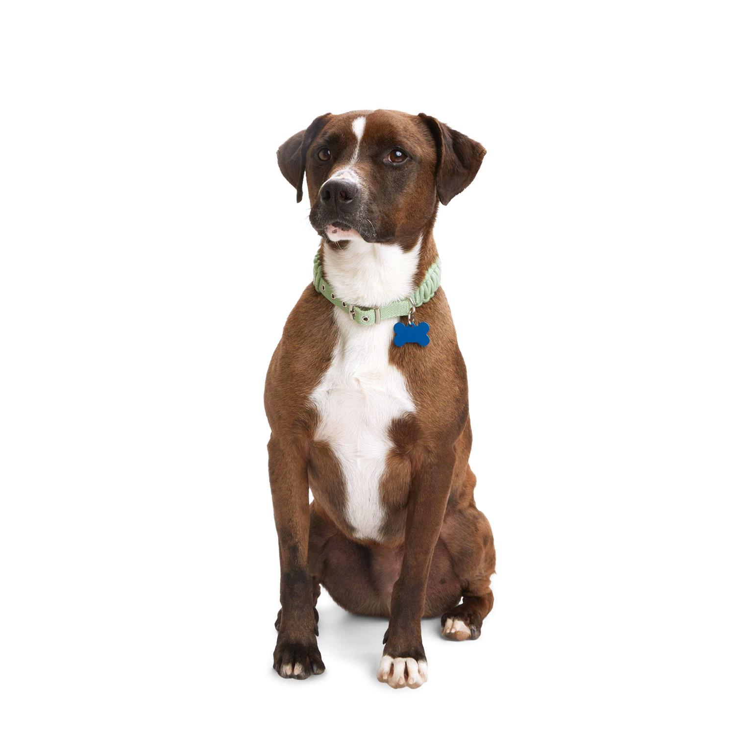 Youly Macrame Dog Collar - Pet Supplies online store