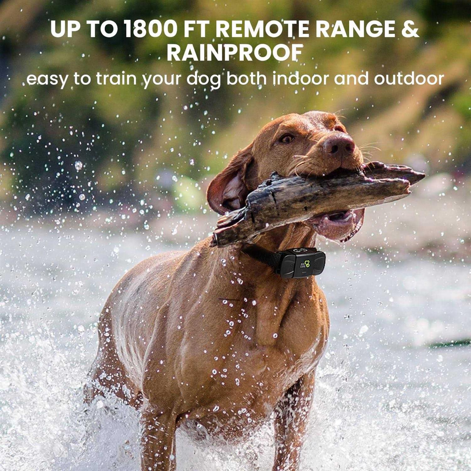 Dog CARE Dog Training Collar Shock Collar with Beep Vibration - Pet Supplies online store