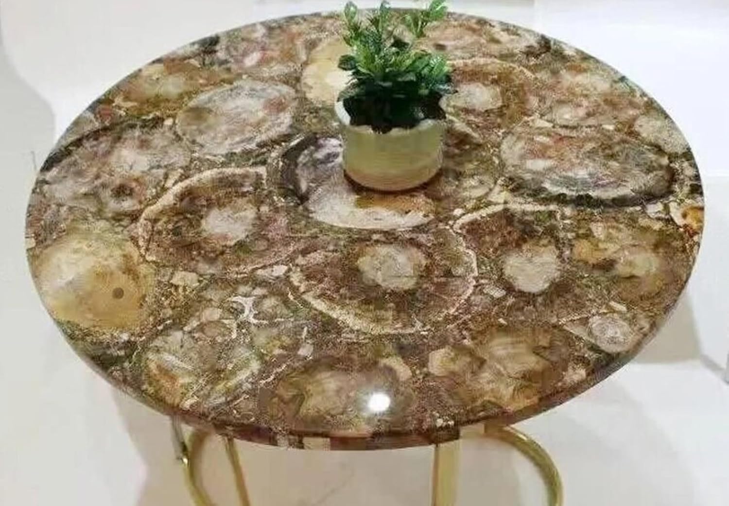 16 x 16 Inches Coffee Table Top Brown Petrified Stone Round Shape Resin Kitchen Side Table with Elegant Look