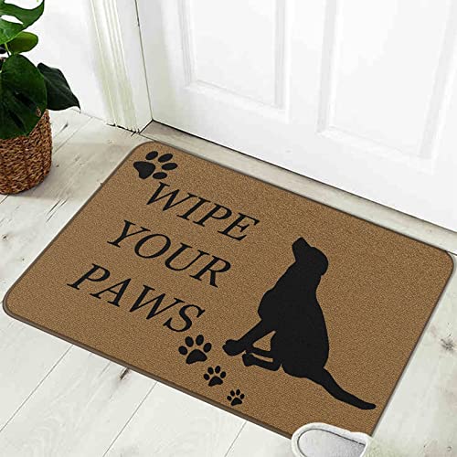 Outdoor Indoor Doormat for Outside Back Patio Floor Entry Funny Cute Doormat Door Mat Welcome Home Door Mat Door Mat Rugs Indoor Outside Doormats for Front Door 16x24IN