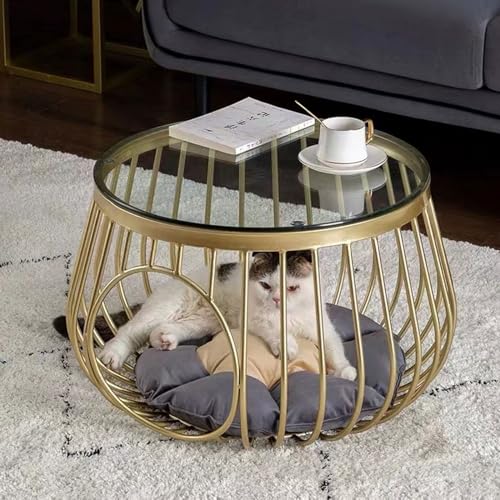Round Coffee Tables with Cat Nest Metal Frame Legs and Tempered Glass Top for Living Room Bedroom Office Balcony Apartment Gold