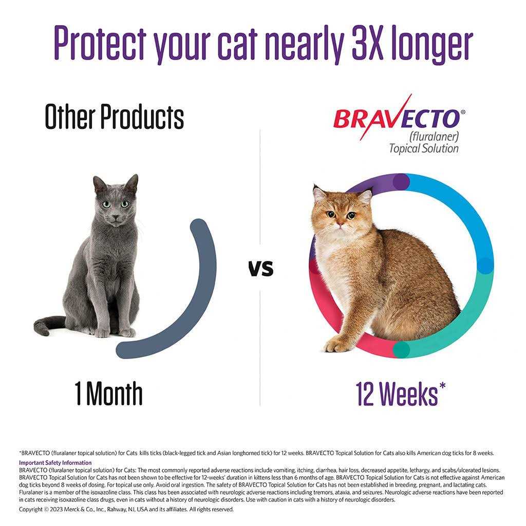Bravecto Topical Solution for Cats - Pet Supplies online store
