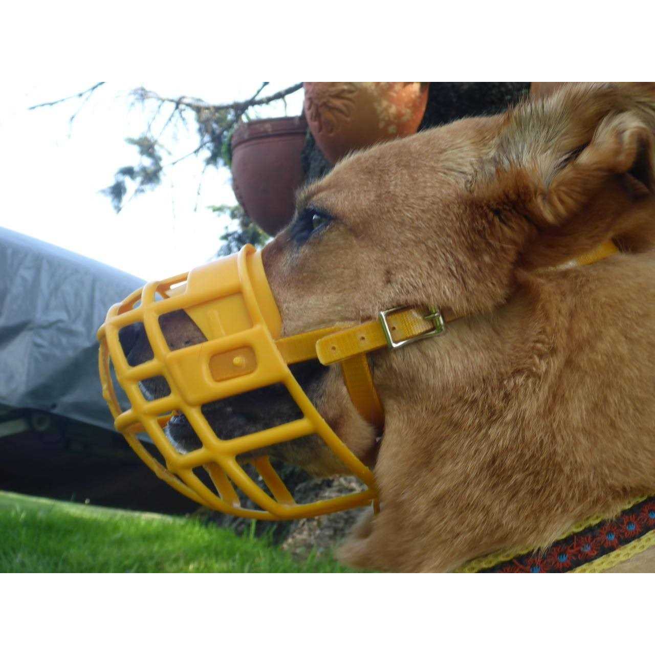 Birdwell Enterprises Plastic Dog Muzzle with Adjustable Plastic Coated Nylon Headstall - Pet Supplies online store