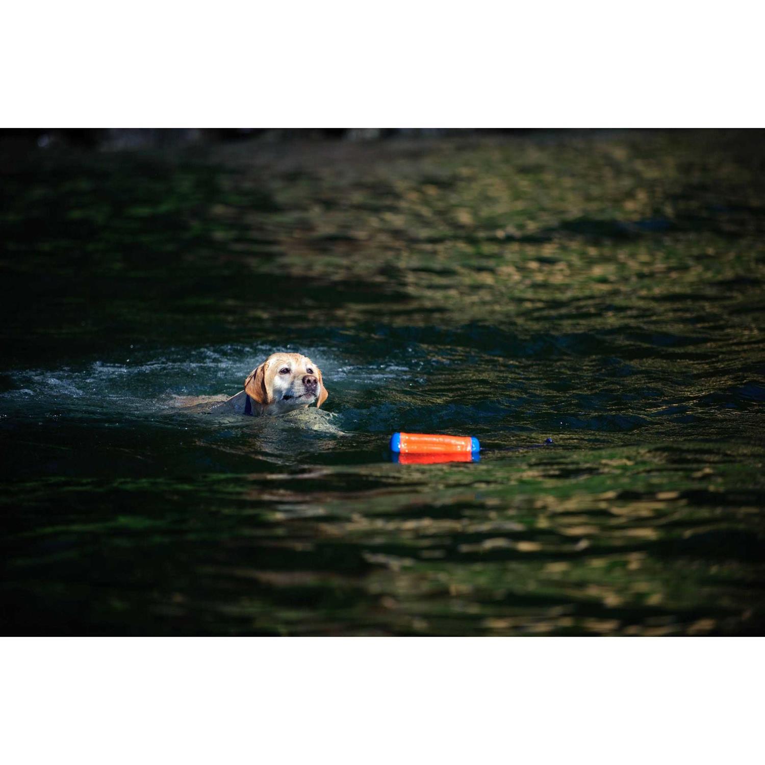 Chuckit! Amphibious Bumper Toy - Pet Supplies online store