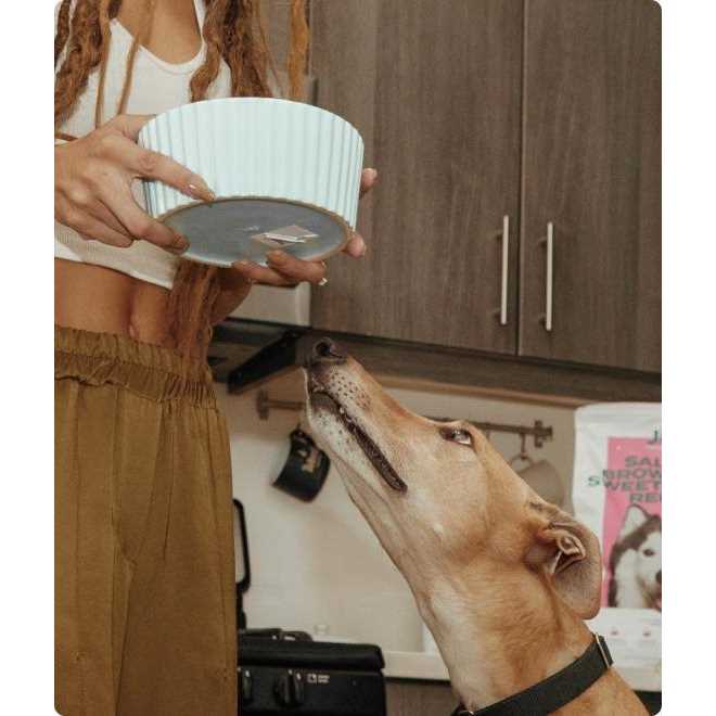 Jinx Freeze Dried Salmon Dry Dog Food Topper - Pet Supplies online store