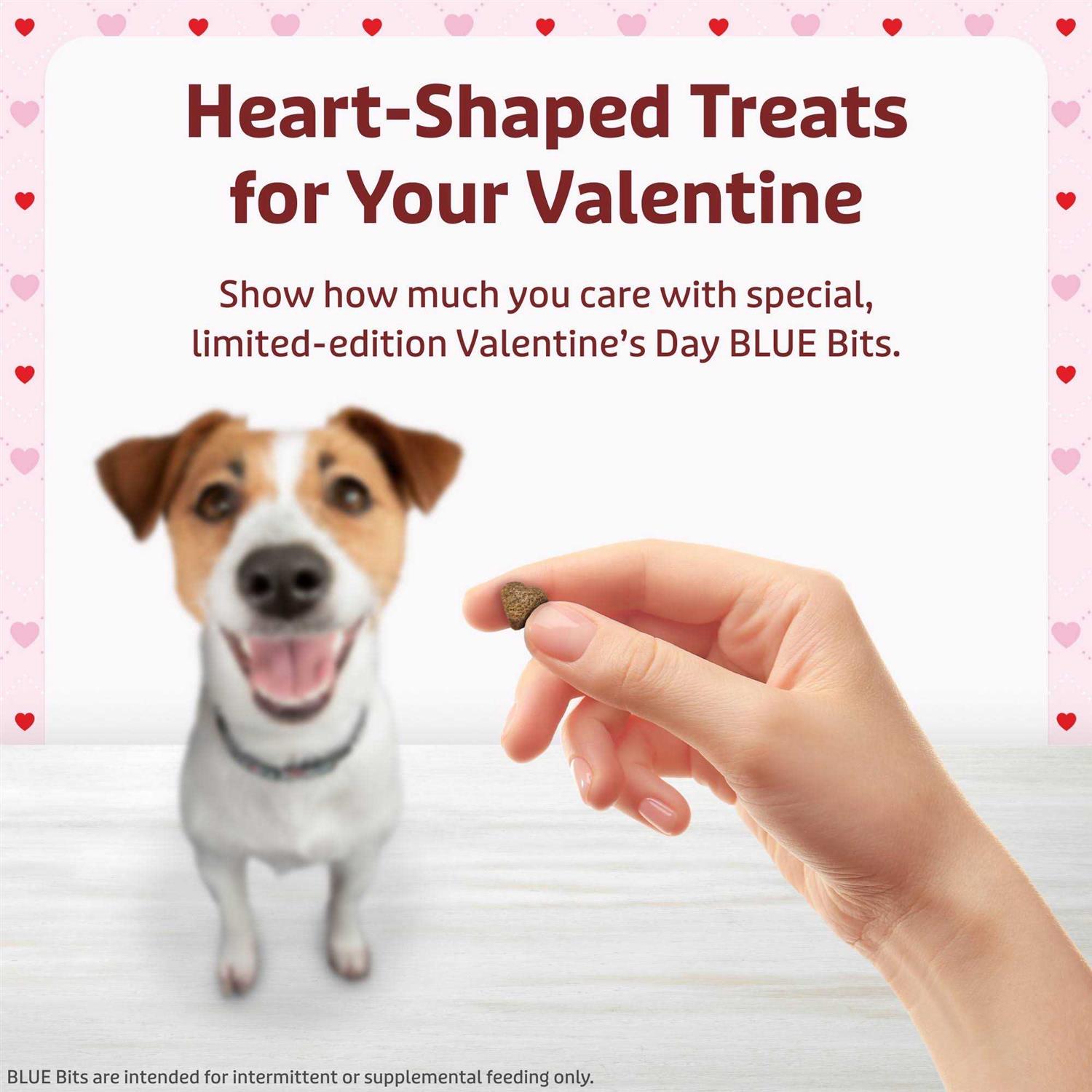 Blue Buffalo Valentine Blue Bits Chicken Recipe Natural SoftMoist Training Dog Treats - Pet Supplies online store