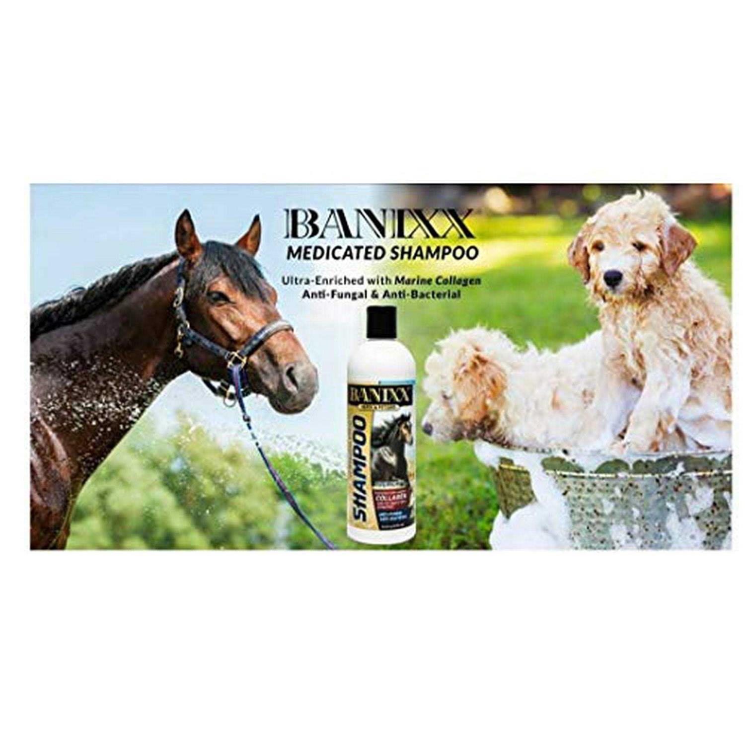 Banixx Medicated Shampoo - Pet Supplies online store