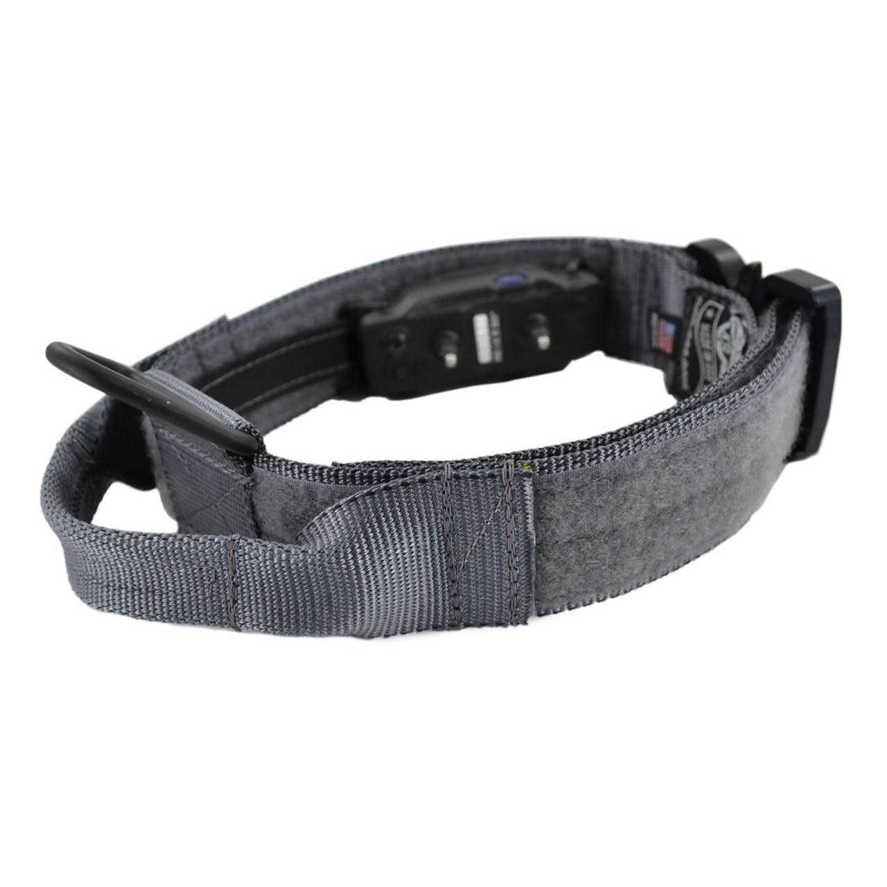 E-Lusive 2.0 ID Collar - Pet Supplies online store