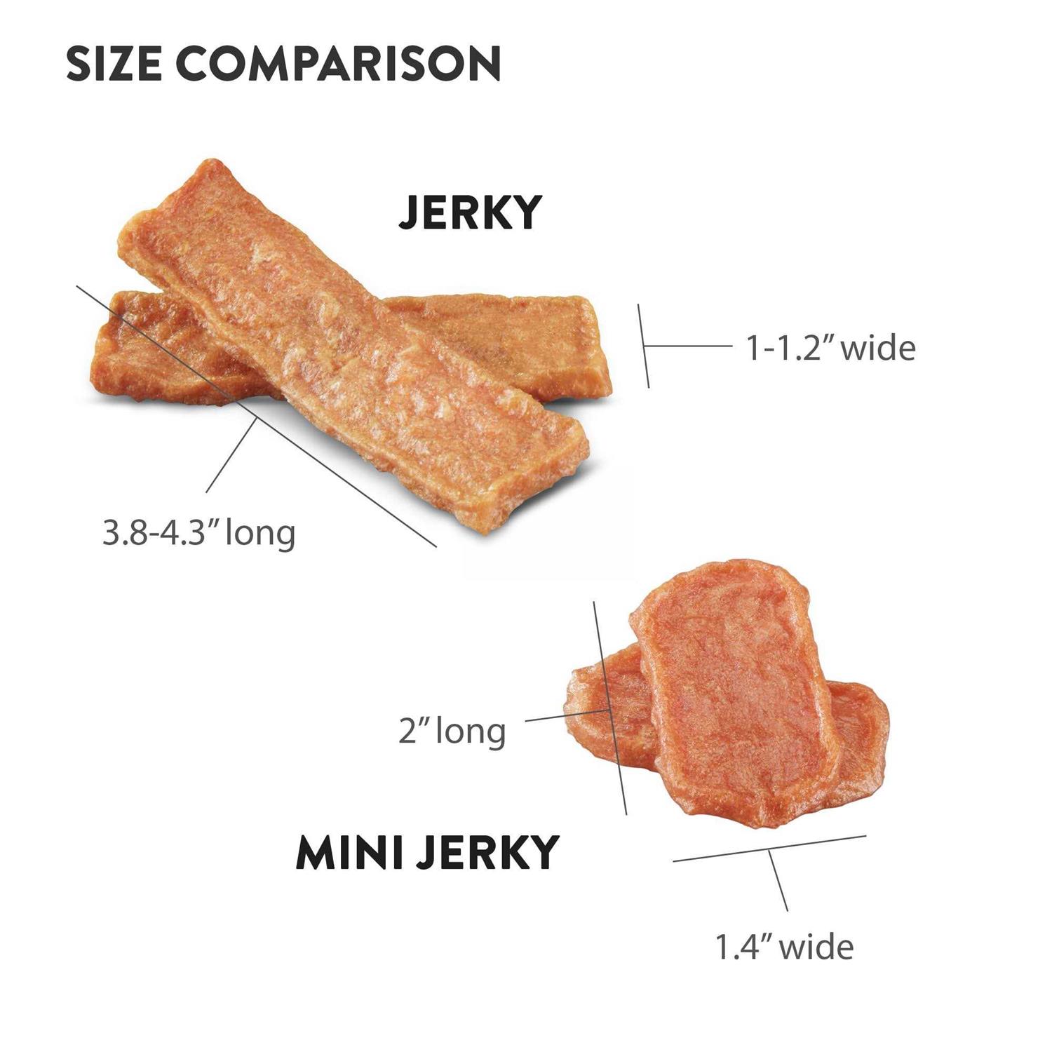Dogswell Salmon Skin & Coat Jerky - Pet Supplies online store