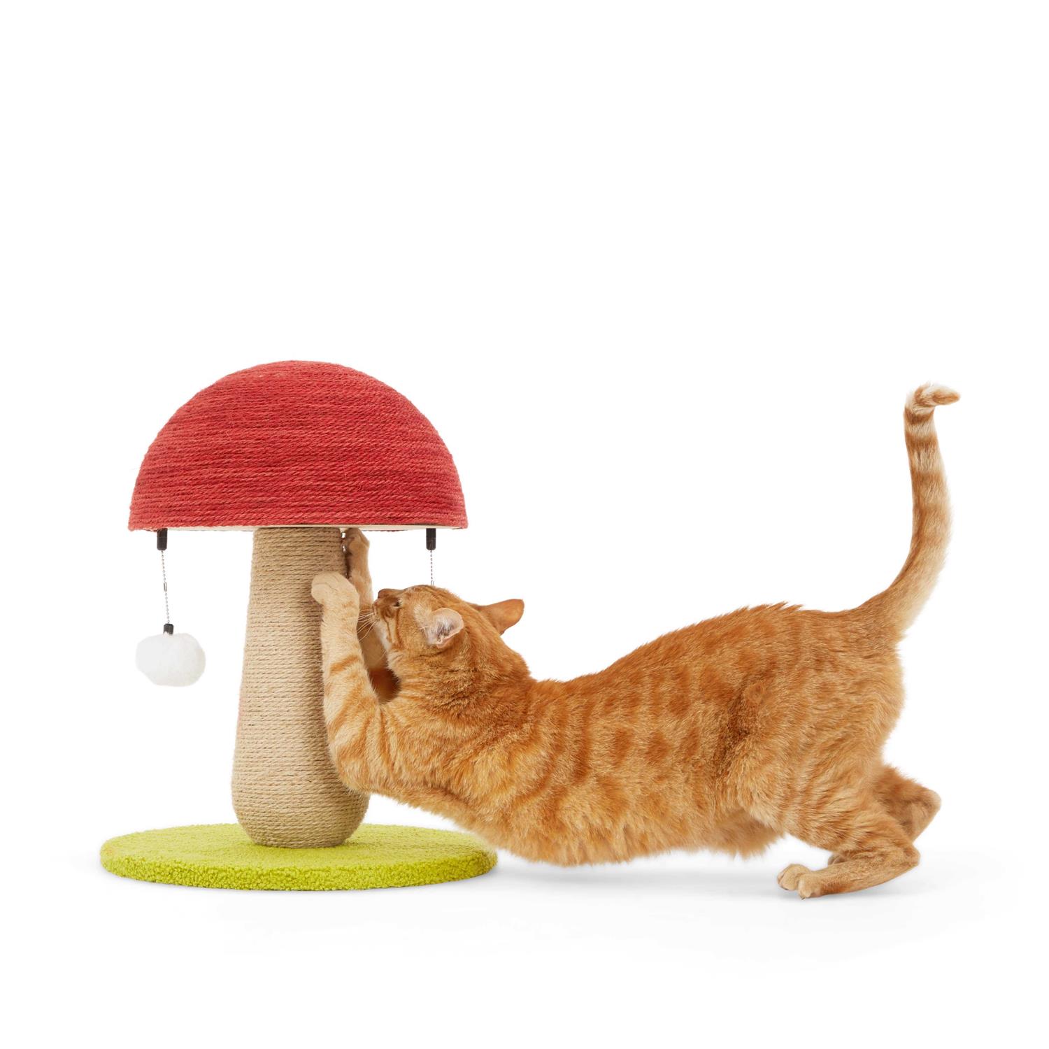 EveryYay Toadstool Scratch Post for Cats - Pet Supplies online store
