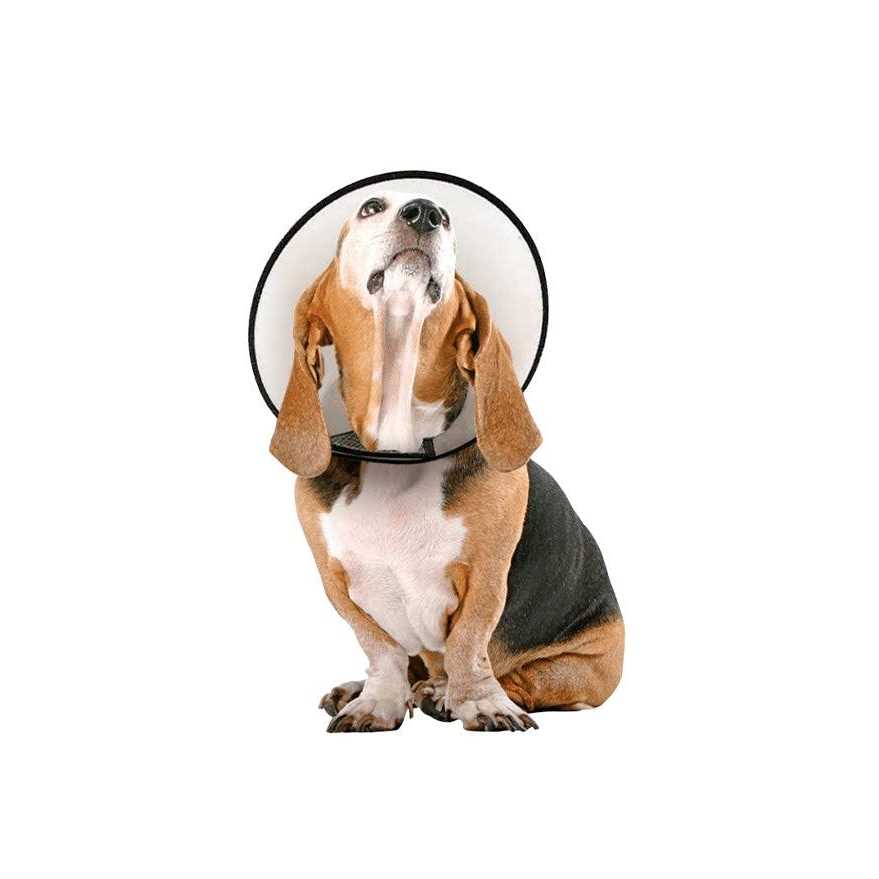 Vet Worthy Protective Cone Collar - Pet Supplies online store