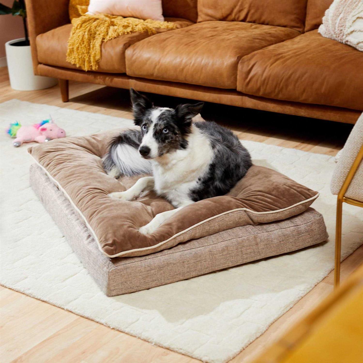 Frisco Plush Orthopedic Pillowtop Dog Bed w/Removable COVER - Pet Supplies online store