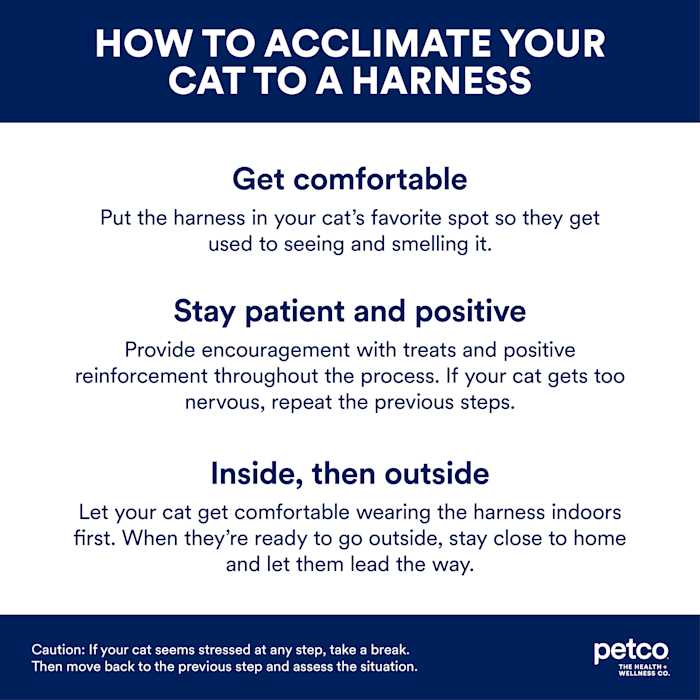 YOULY Harness - Pet Supplies online store