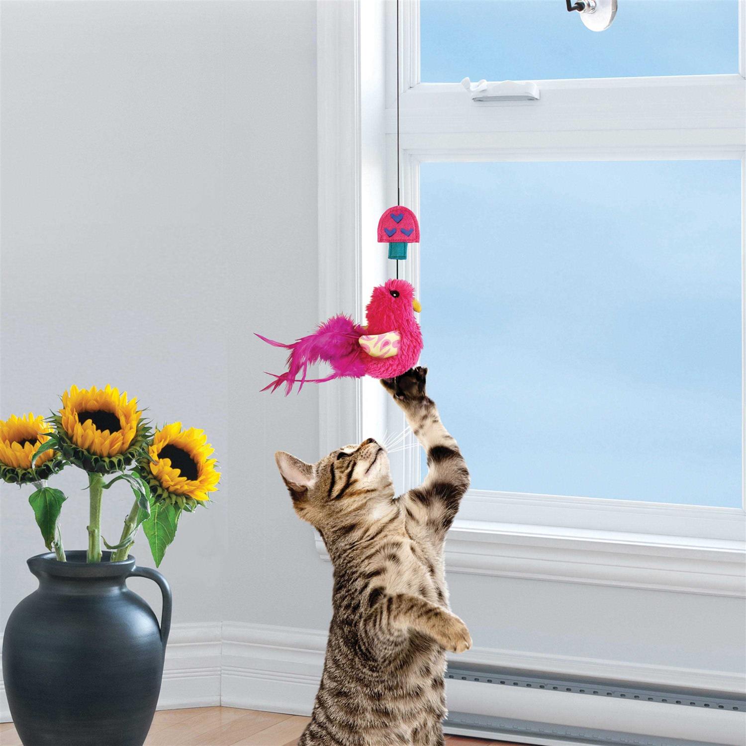 KONG Window Cat Teaser - Pet Supplies online store