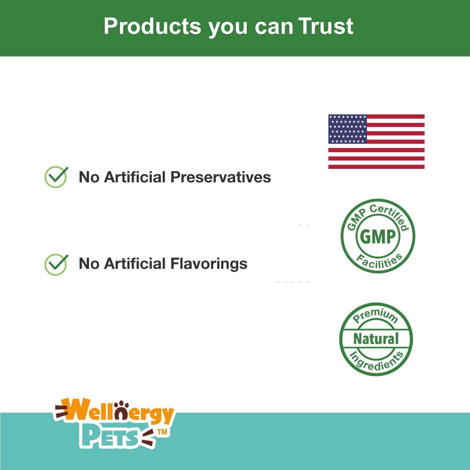 Wellnergy Pets Anti-Diarrhea for Dogs and Cats with Syringe - Pet Supplies online store