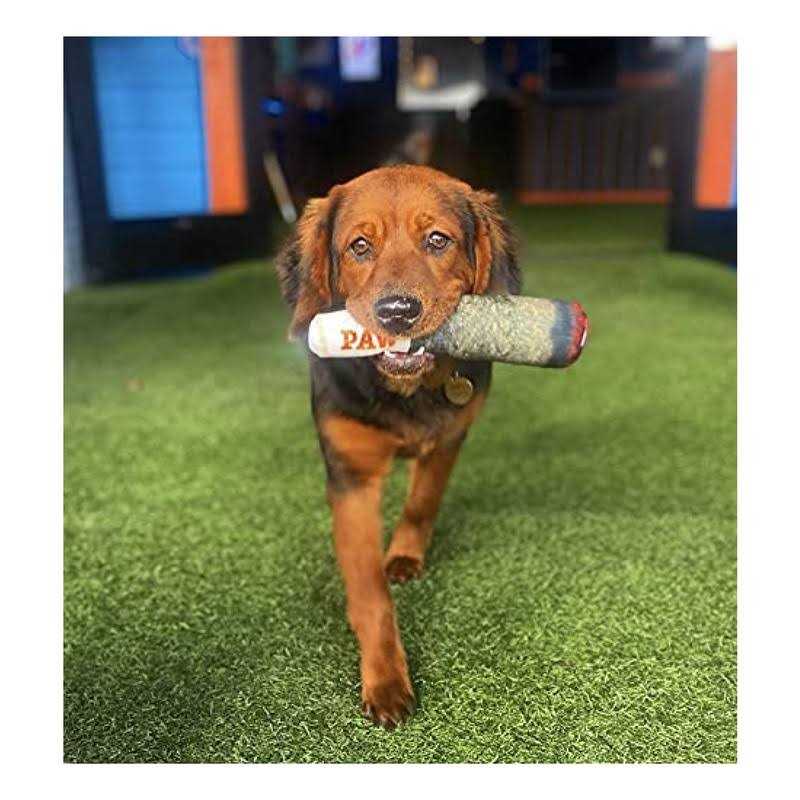 Nickelodeon Spongebob SquarePants for Pets Spongebob, Patrick, and Sandy Figure Plush Dog Toy - Pet Supplies online store