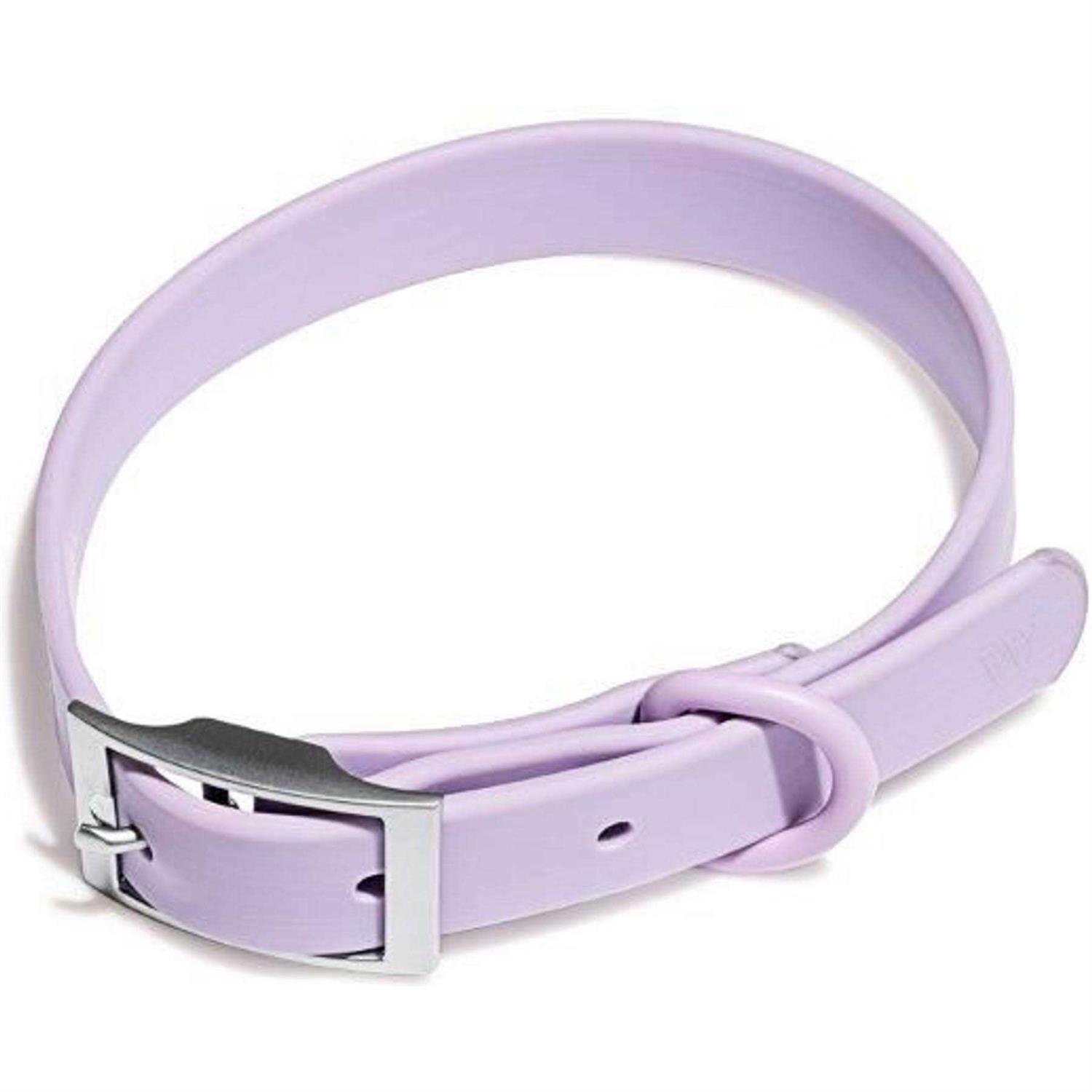 Wild One Dog Collar - Pet Supplies online store