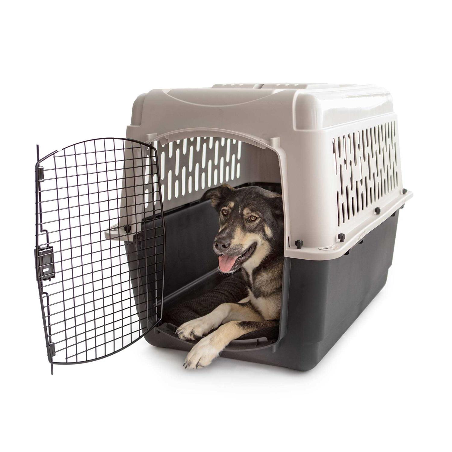 Vibrant Life Dogs Hard-Sided Pet Kennel - Pet Supplies online store