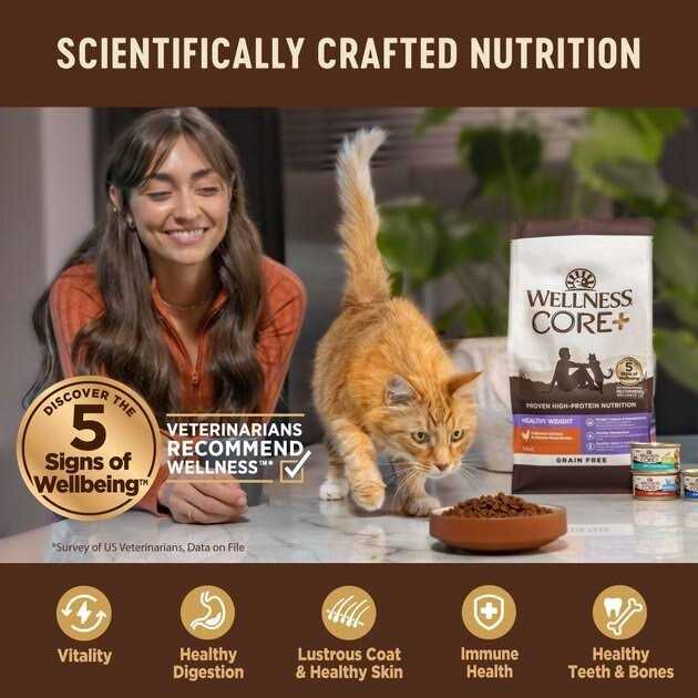 Wellness CORE Digestive Health Chicken & Turkey Pate Variety Pack Wet Cat Food - Pet Supplies online store