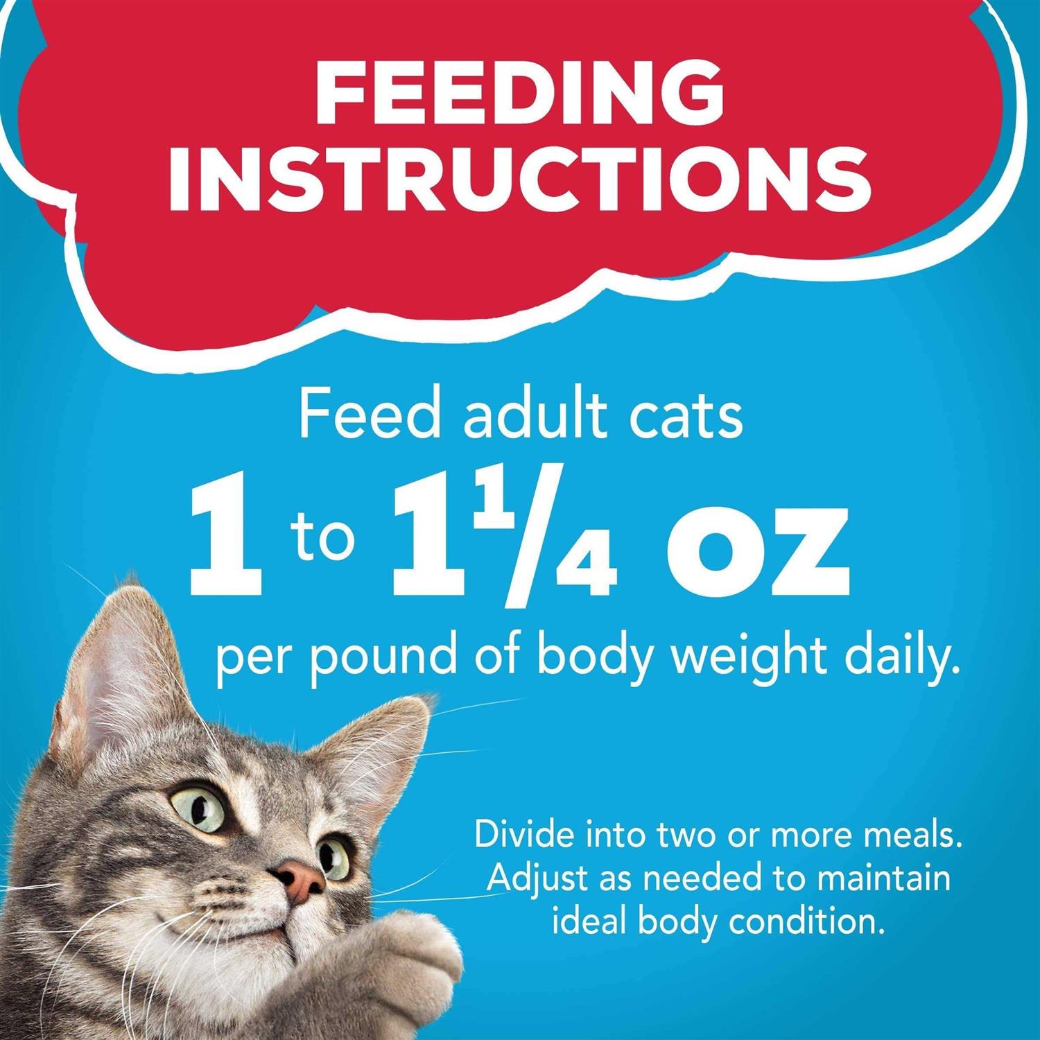 Friskies Prime Filets With Ocean Whitefish & Tuna in Sauce Wet Cat Food - Pet Supplies online store