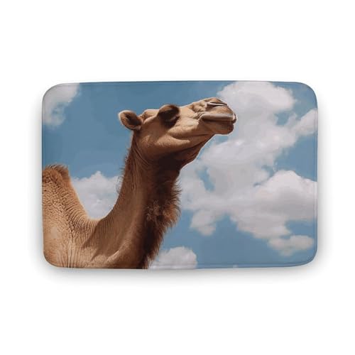 Camel Looking Up at The Sky Doormat Washable Indoor Door Mat Durable Non-Slip Welcome Mat Front Door Mat for Entrance Farmhouse Funny Kitchen Rugs for Home Patio Greeting Porch Rugs 15.7