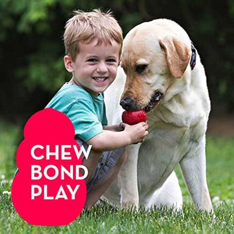 LOYEE Puppy Toys 21 Pack Small Dog Chew Toys with Rope Toys for Teething Pet Cute Squeak Toy with Treating Ball for Puppy - Pet Supplies online store