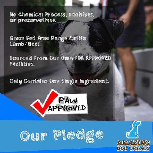 Amazing Dog Treats Beef Cheek Rolls - Pet Supplies online store