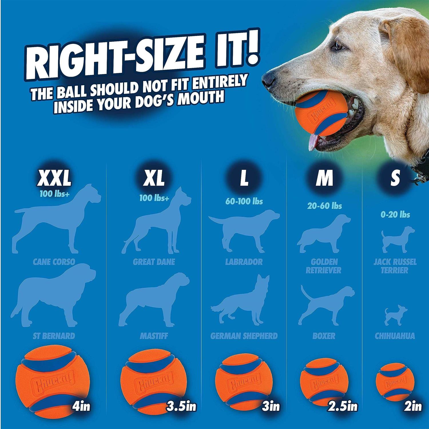 Chuckit! Fetch & Fold Launcher - Pet Supplies online store