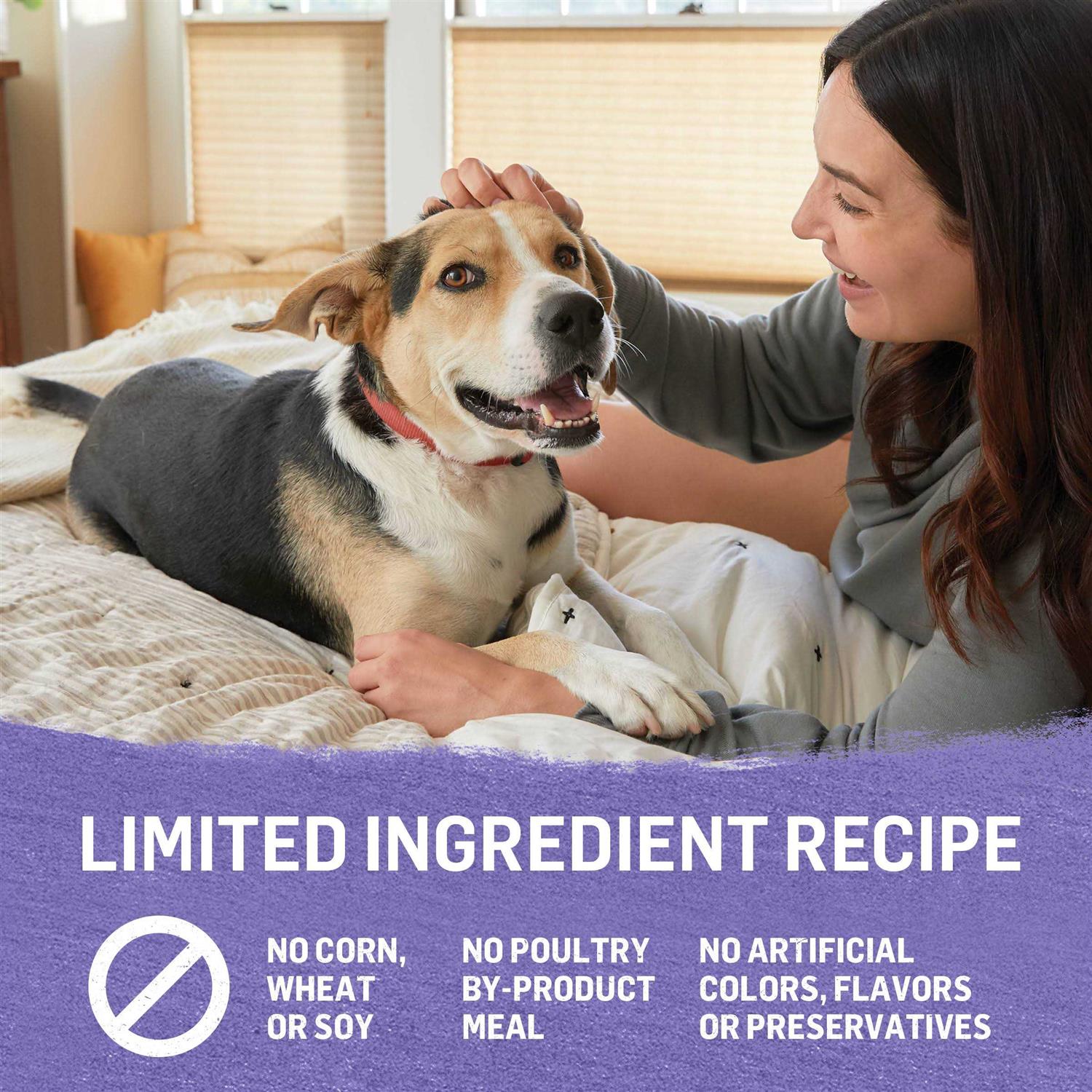Purina Beyond Grain Free Ground Entrée Turkey & Sweet Potato Recipe Wet Dog Food - Pet Supplies online store