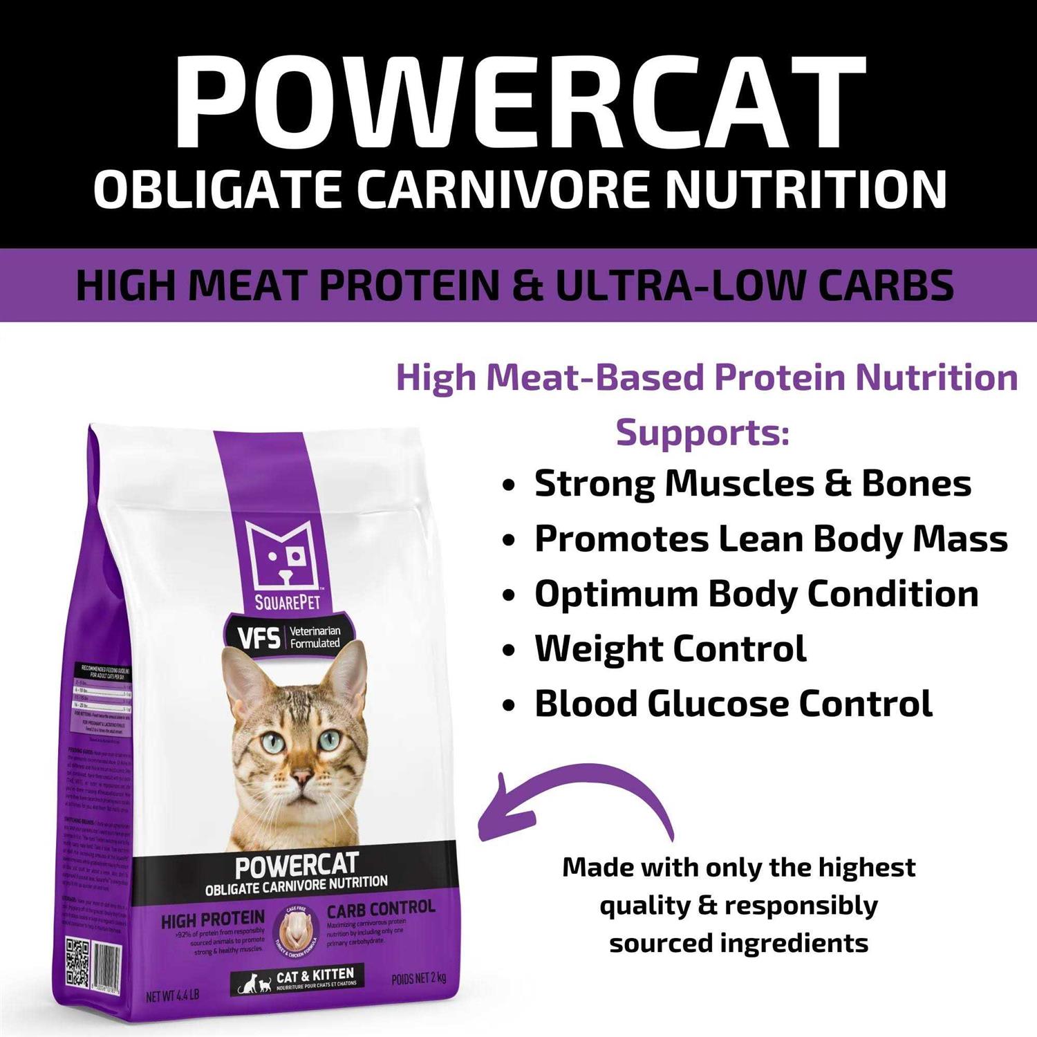 SquarePet VFS Powercat Turkey & Chicken Dry Cat Food - Pet Supplies online store