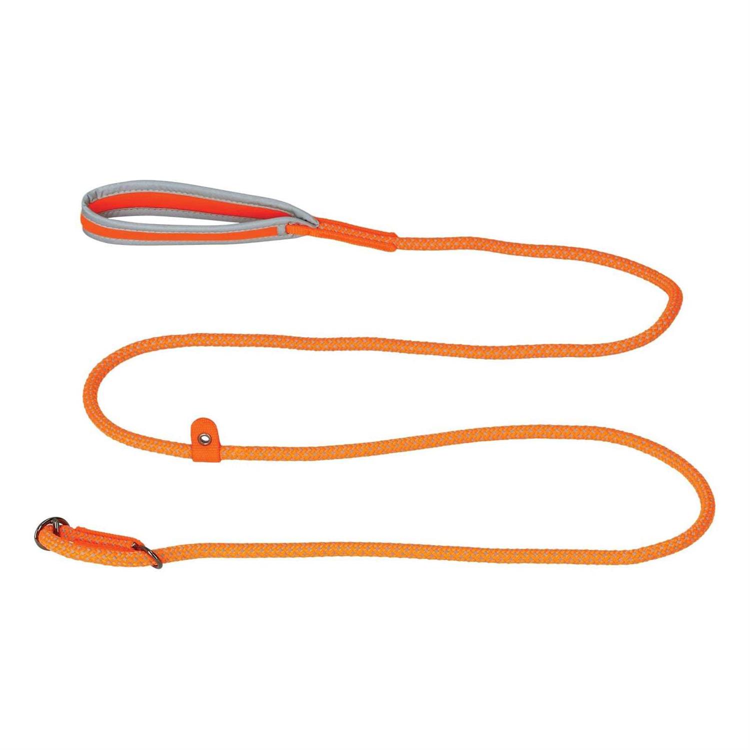 Cabela's Hi-Vis Dog Leash - Pet Supplies online store