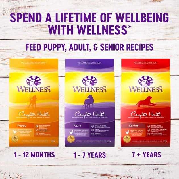 Wellness Complete Health Large Breed Puppy Dry Dog Food - Pet Supplies online store