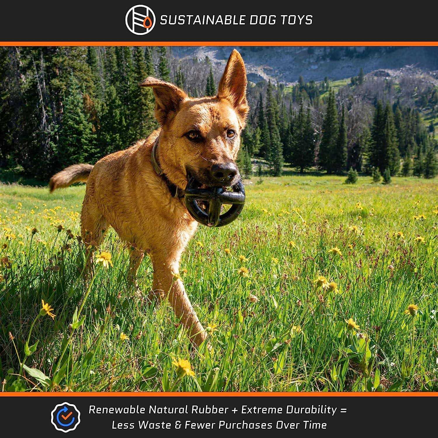 Monster K9 Dog Toys Monster K9 Tough Dog Toys for Aggressive Chewers Large Breed - Pet Supplies online store